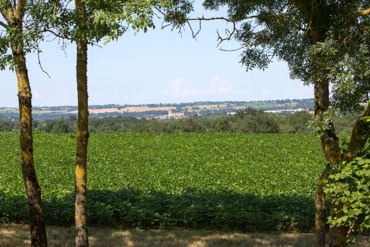 Les Hauts De Condom Appartements Climatises Luaran gambar